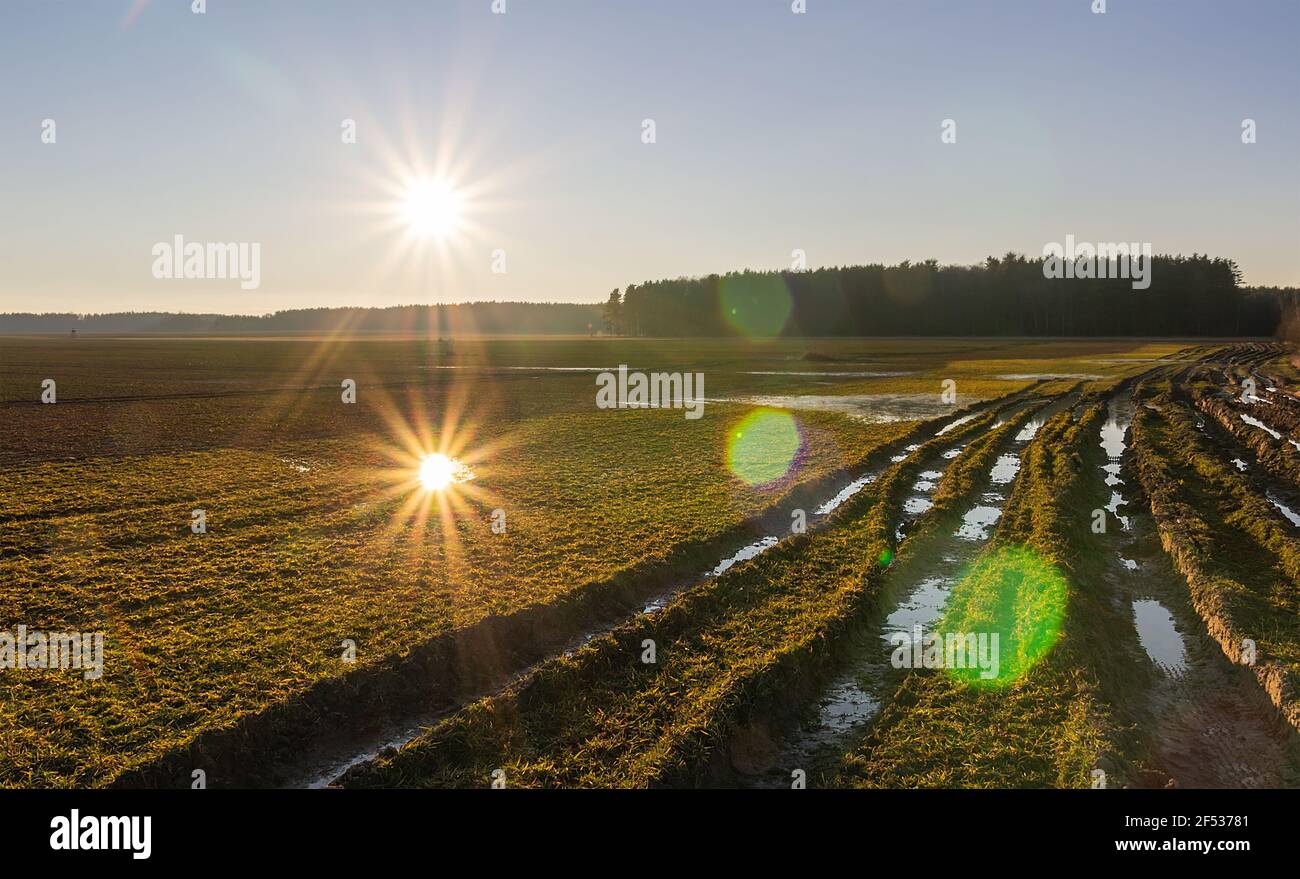Böhmische ländliche Landwirtschaft Landschaft. Feld mit Schmutz Traktor Nut, Wald und Sonnenuntergang Reflexion in Pfütze Stockfoto