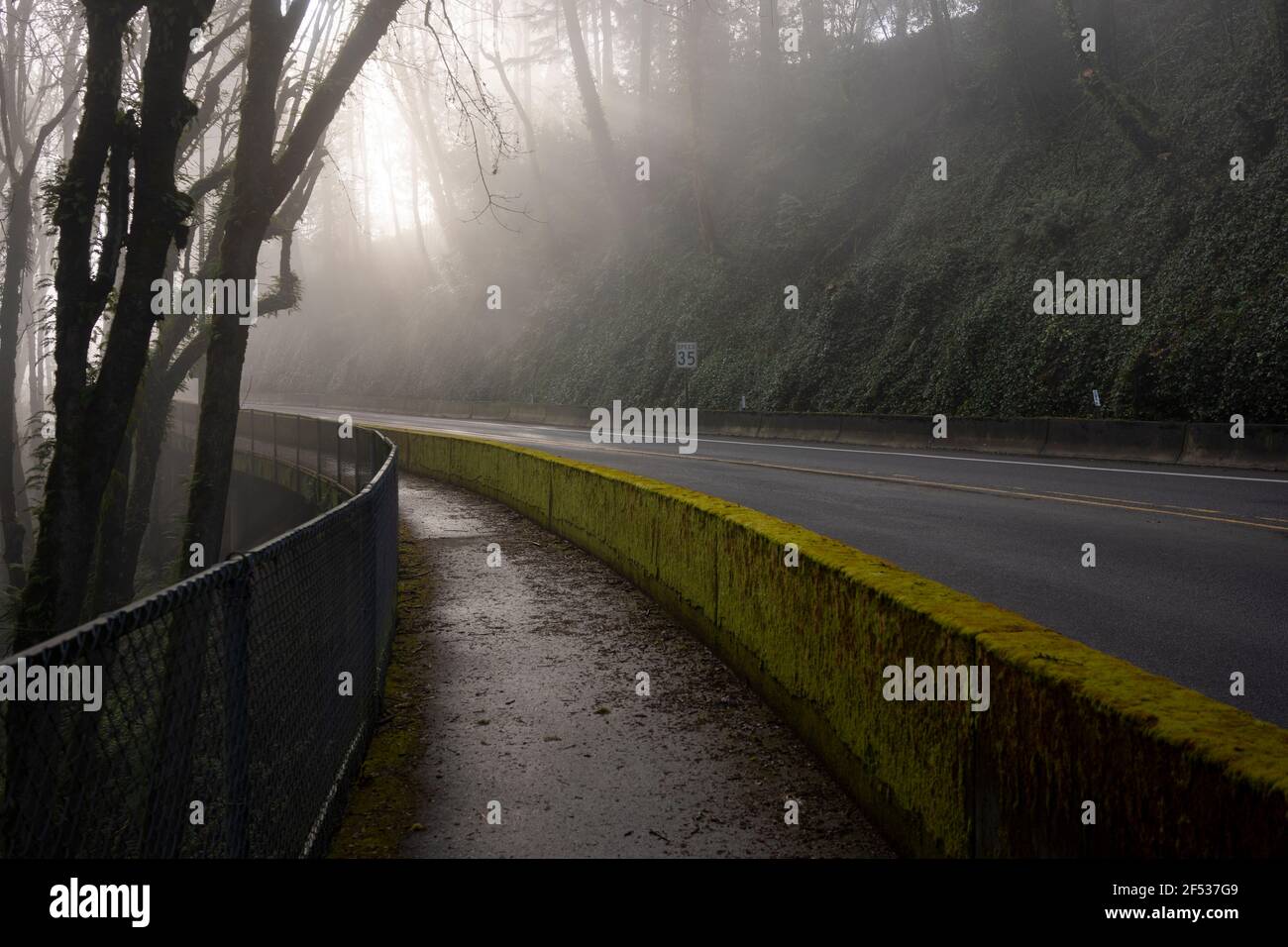 Nasser Gehweg entlang der Hügelstraße mit Sonnenstrahlen, die im Hintergrund durch den Morgennebel brechen. Stockfoto