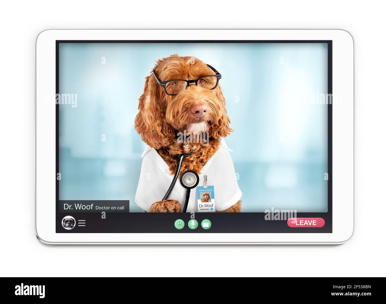 Online-Arzt in Videoanruf, Tier oder Haustier Themen. Tablet-Bildschirm mit digitaler Gesundheitsberatung zwischen Patient und dr. woof, ein Labradoodle Hund. Stockfoto