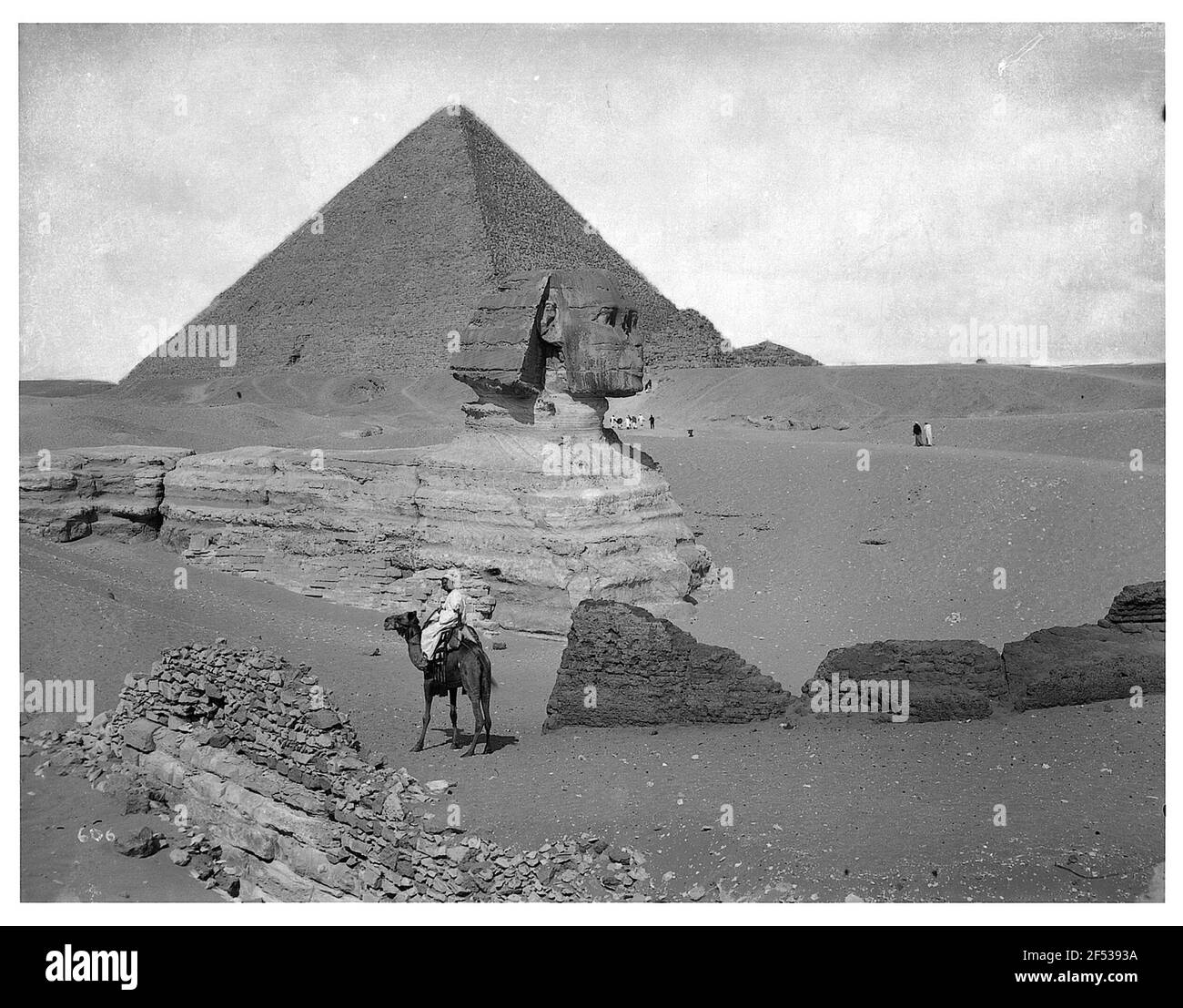 Sphinx der Chephar-Pyramide und Cheops-Pyramide in Gizeh Stockfoto