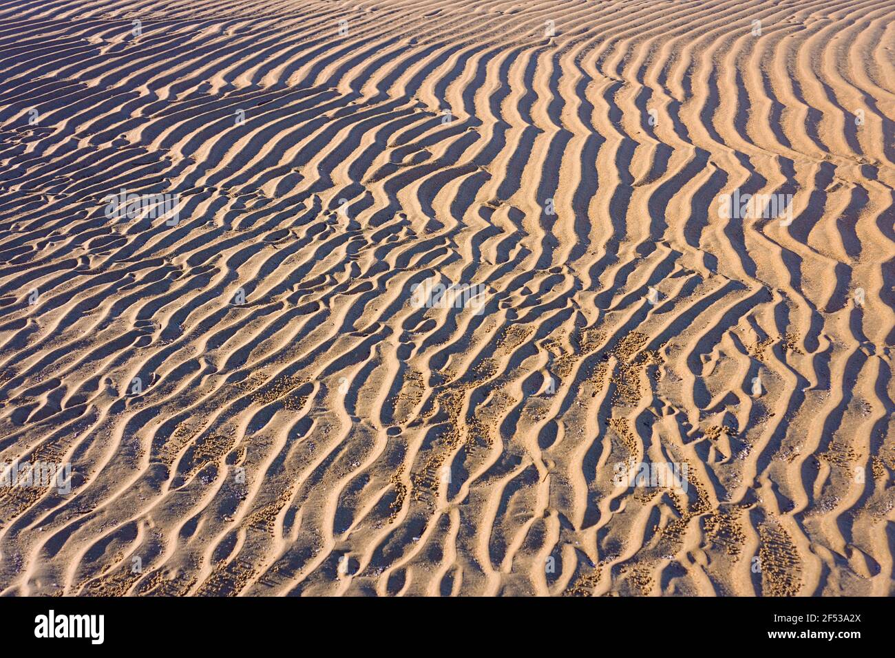 Regelmäßige Wellen und Muster an einem goldenen Sandstrand in den Tropen durch die Wellen und die rückläufige Flut gemacht links. Stockfoto