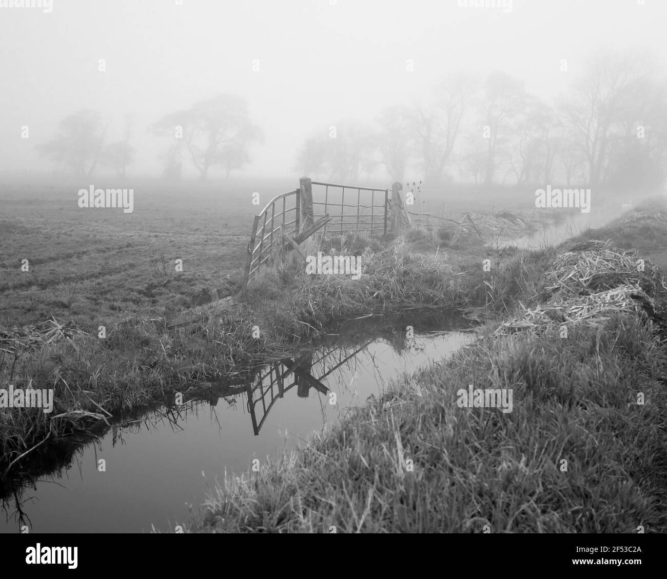 März 2021 - Nebel Morgen auf den Somerset Mauren Stockfoto