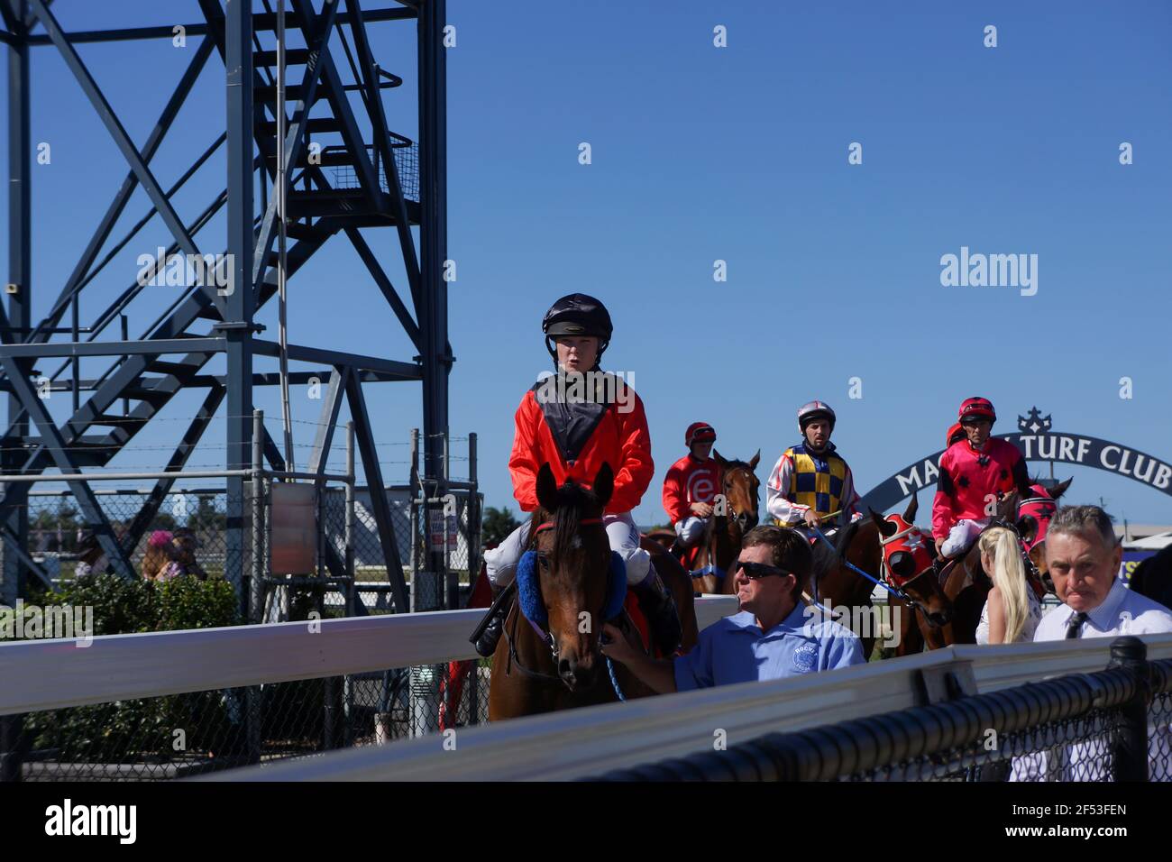 Rennpferde und ihre Jockeys werden nach dem Ziel bei einem Country Race Meeting in Queensland, Australien, angeführt. Stockfoto