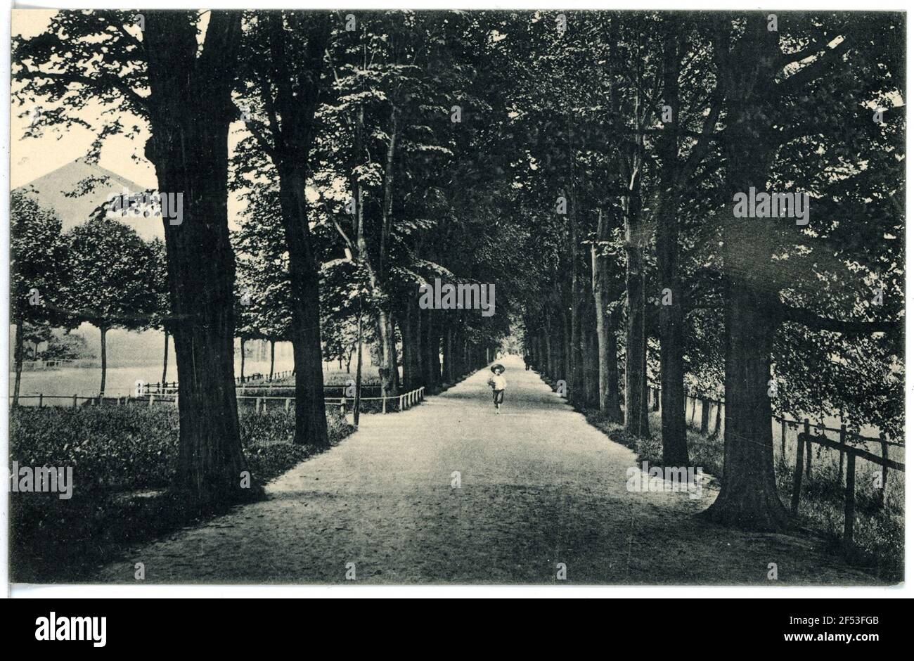 Ringpromenade. Halter. Ringpromenade. Stockfoto