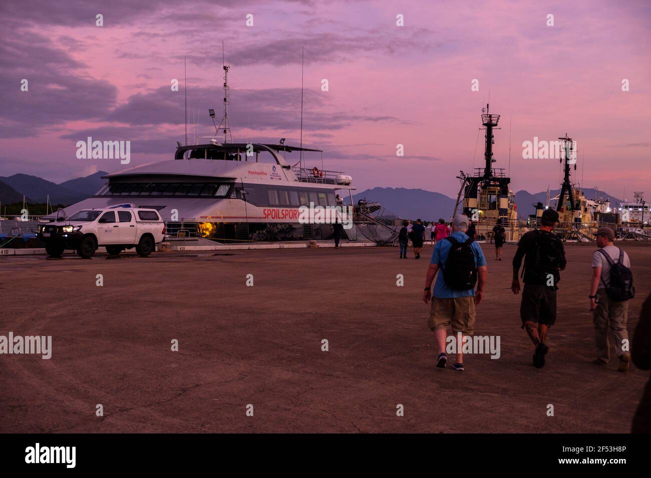 4 Nacht - Fly Dive Minke Whale Expedition Stockfoto