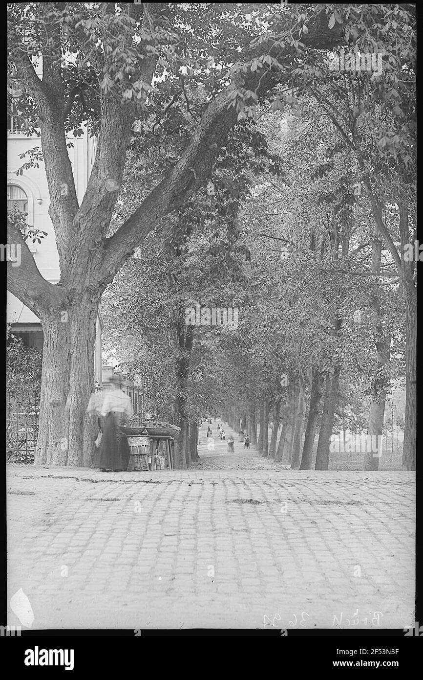 Grimma. Blick auf die Promenade Stockfoto