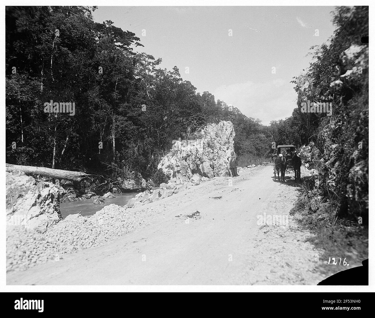 Jamaika. Am Rio Cobre. Touristen der Hapag und zwei-Pänner auf einer Forststraße am steinigen Ufer des Rio Cobre Stockfoto