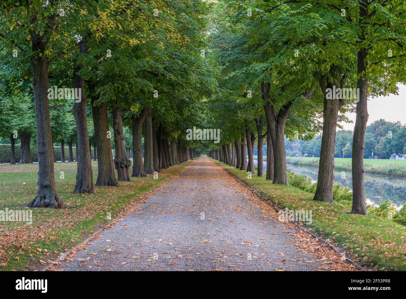Geographie / Reisen, Deutschland, Niedersachsen, Hannover, Herrenhäuser Gärten am Abend, Property-released Stockfoto