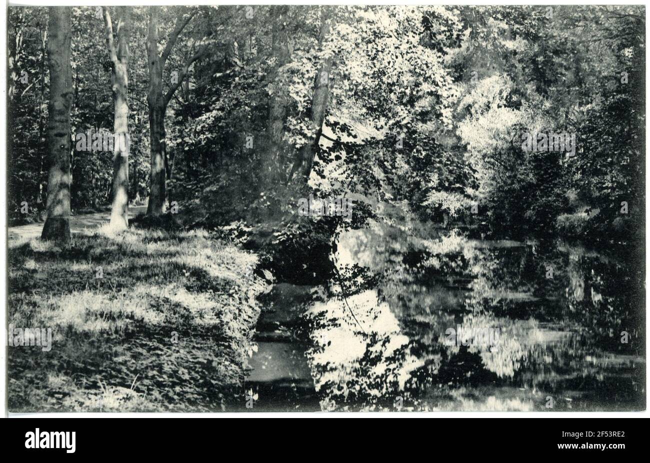 Wasserteil im Stadtpark Großenhain. Wasserteil im Stadtpark Stockfoto