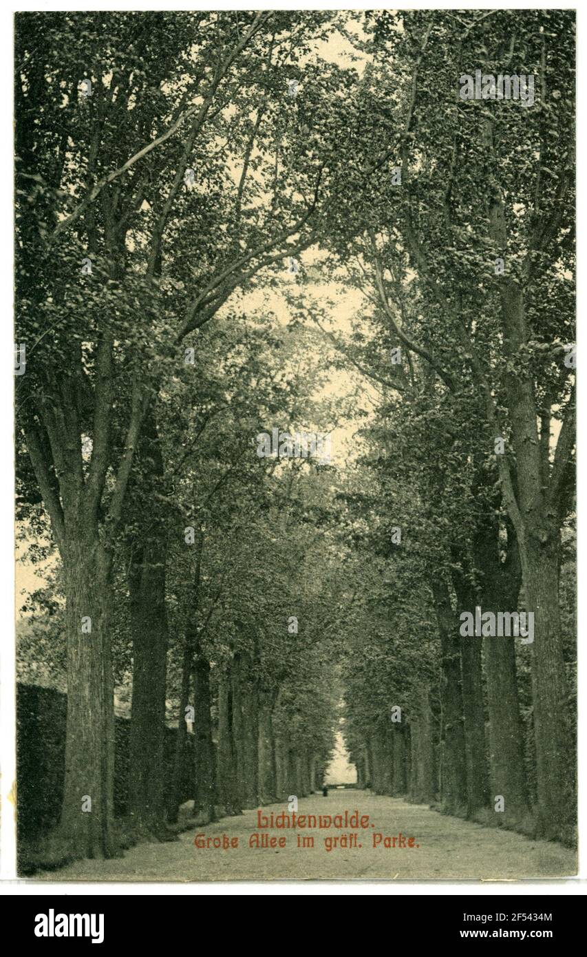 Tolle Allee im schmerzlichen Park Lichtenwalde. Tolle Allee im Grievous Park Stockfoto