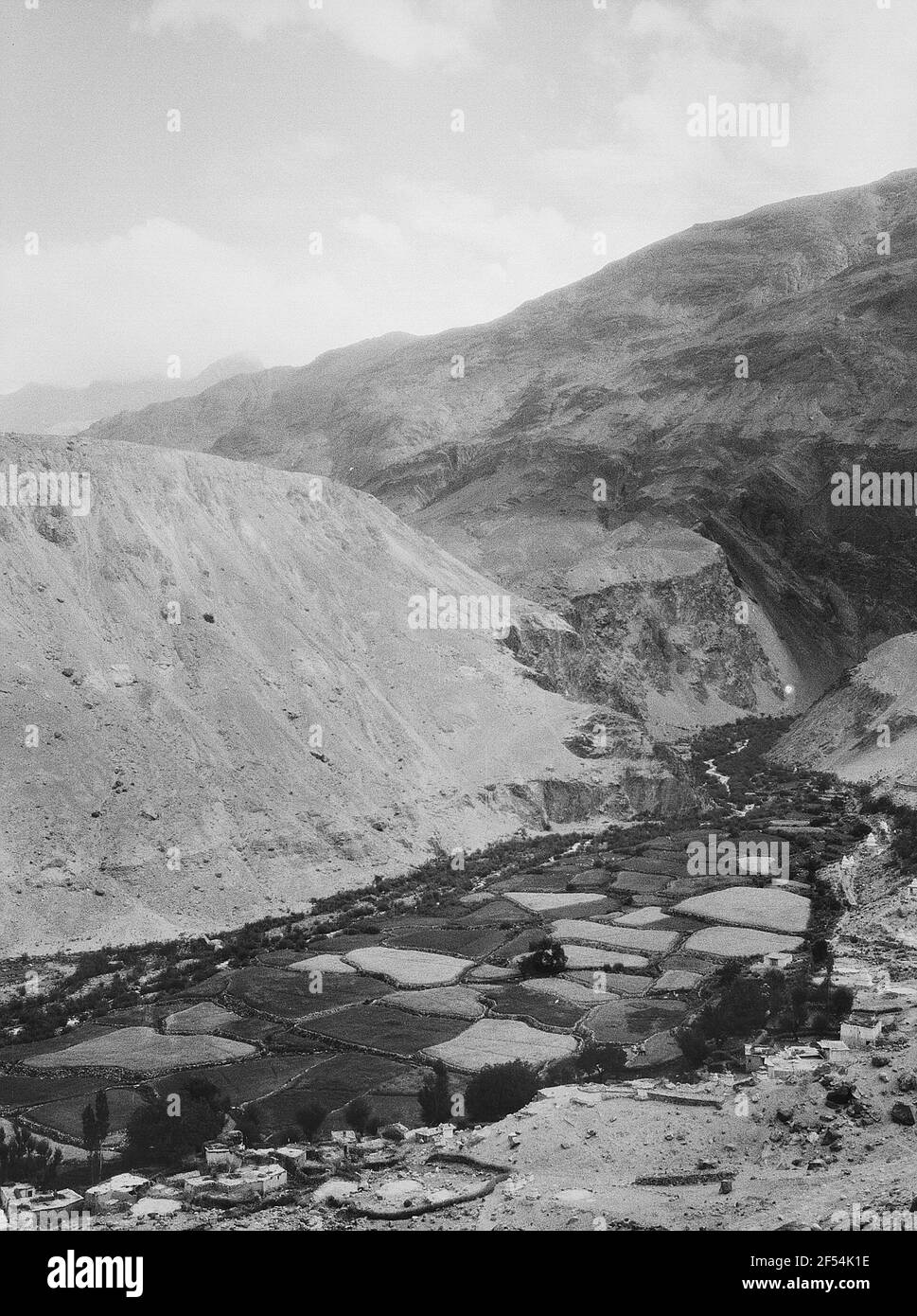 Indien. Kaschmir. Ladakh. Dorf Kharsar (Kartschar) mit seinen Bewässerungsflächen an der Spitze des Scheyok gegen Ladakh Kette, Blick nach Süden Stockfoto