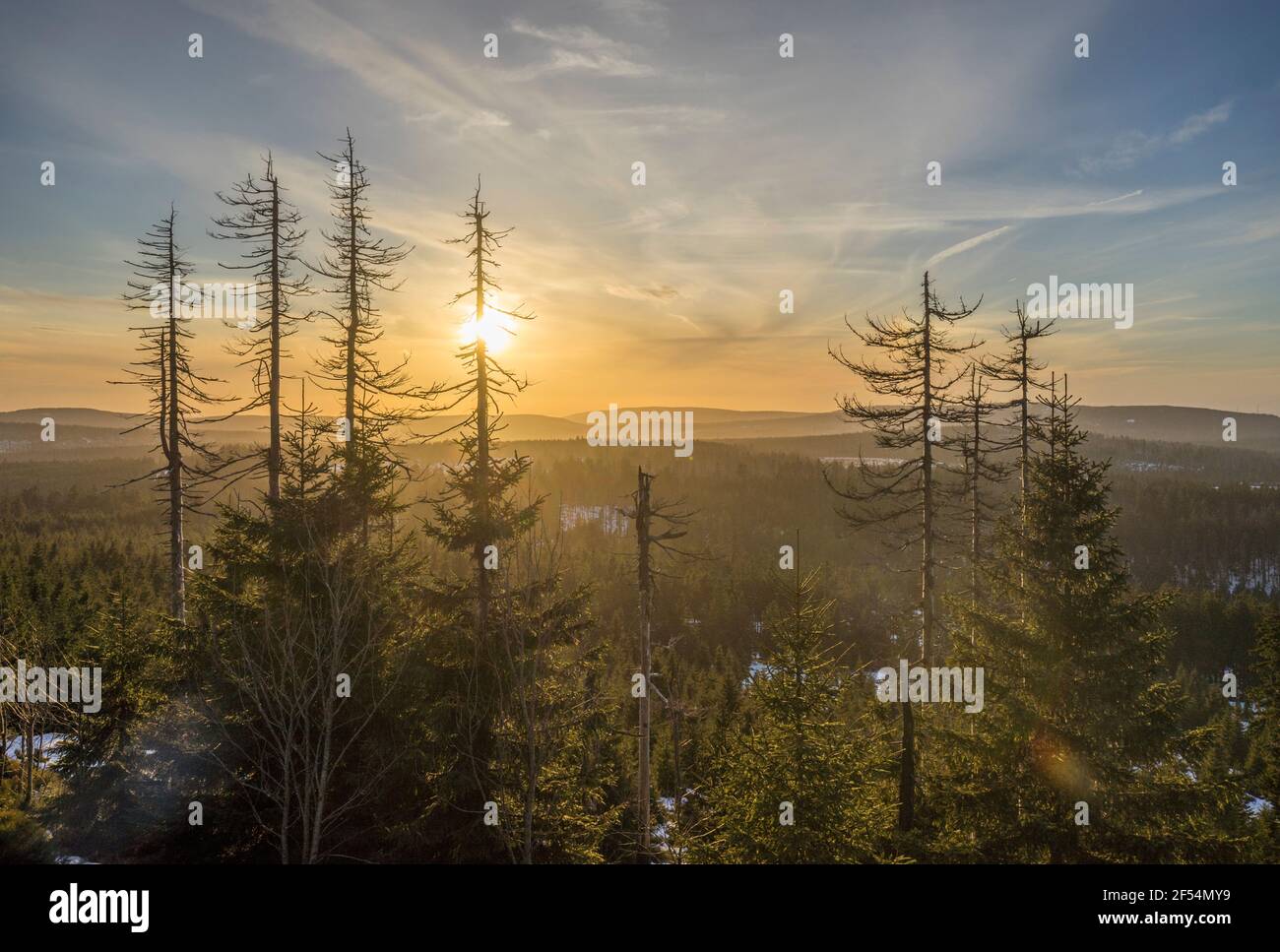 Geographie / Reisen, Deutschland, Sachsen-Anhalt, Nationalpark Harz im Winter, Additional-Rights-Clearance-Info-not-available Stockfoto