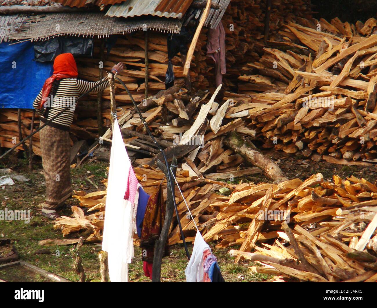 Ein Vorrat an Brennholz in einem kleinen Bergdorf, Annapurna Foothills (Nepal) Stockfoto