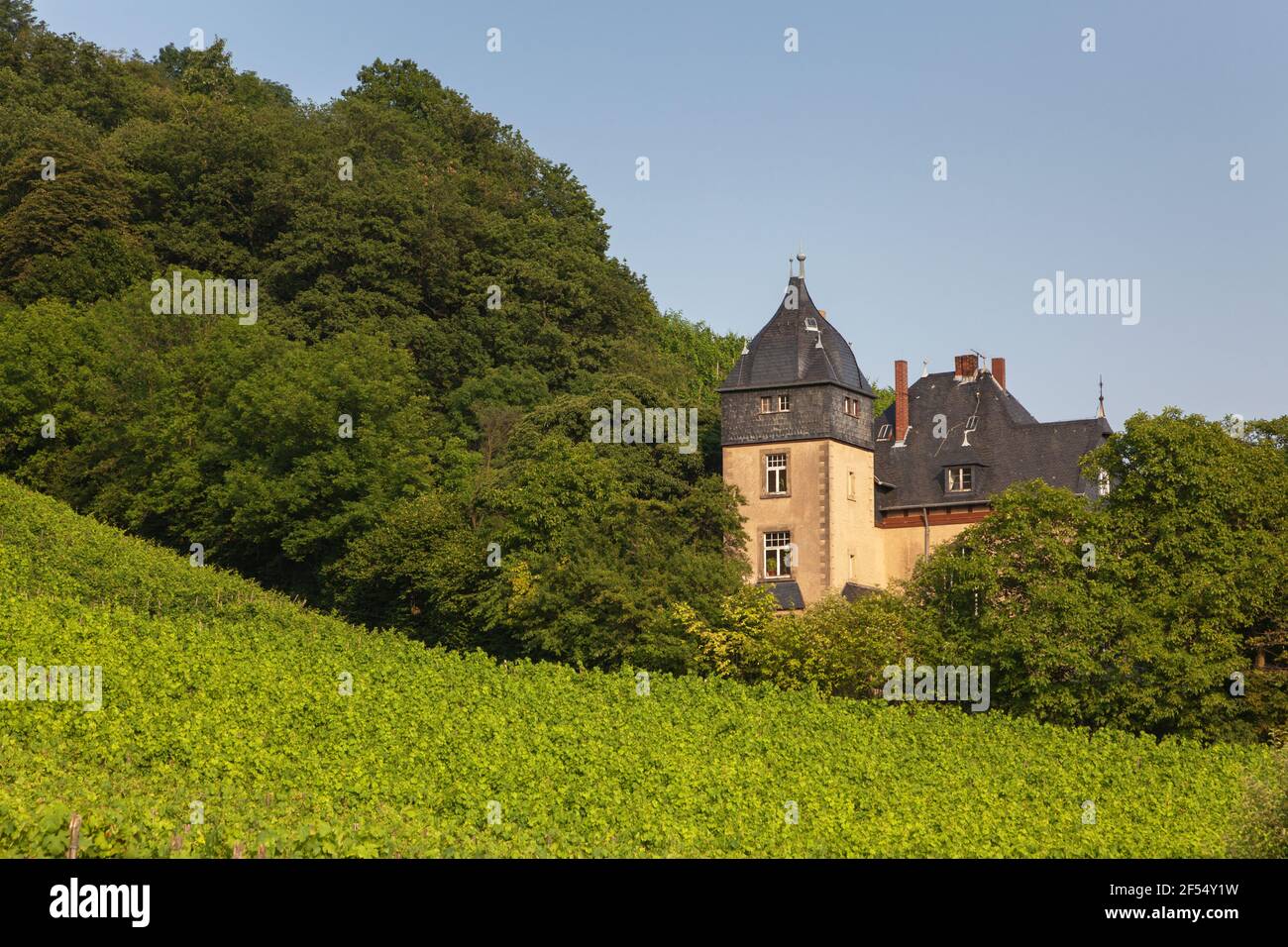 Geographie / Reisen, Deutschland, Nordrhein-Westfalen, Königswinter, Villa in den Weinbergen bei Königsw, Additional-Rights-Clearance-Info-not-available Stockfoto