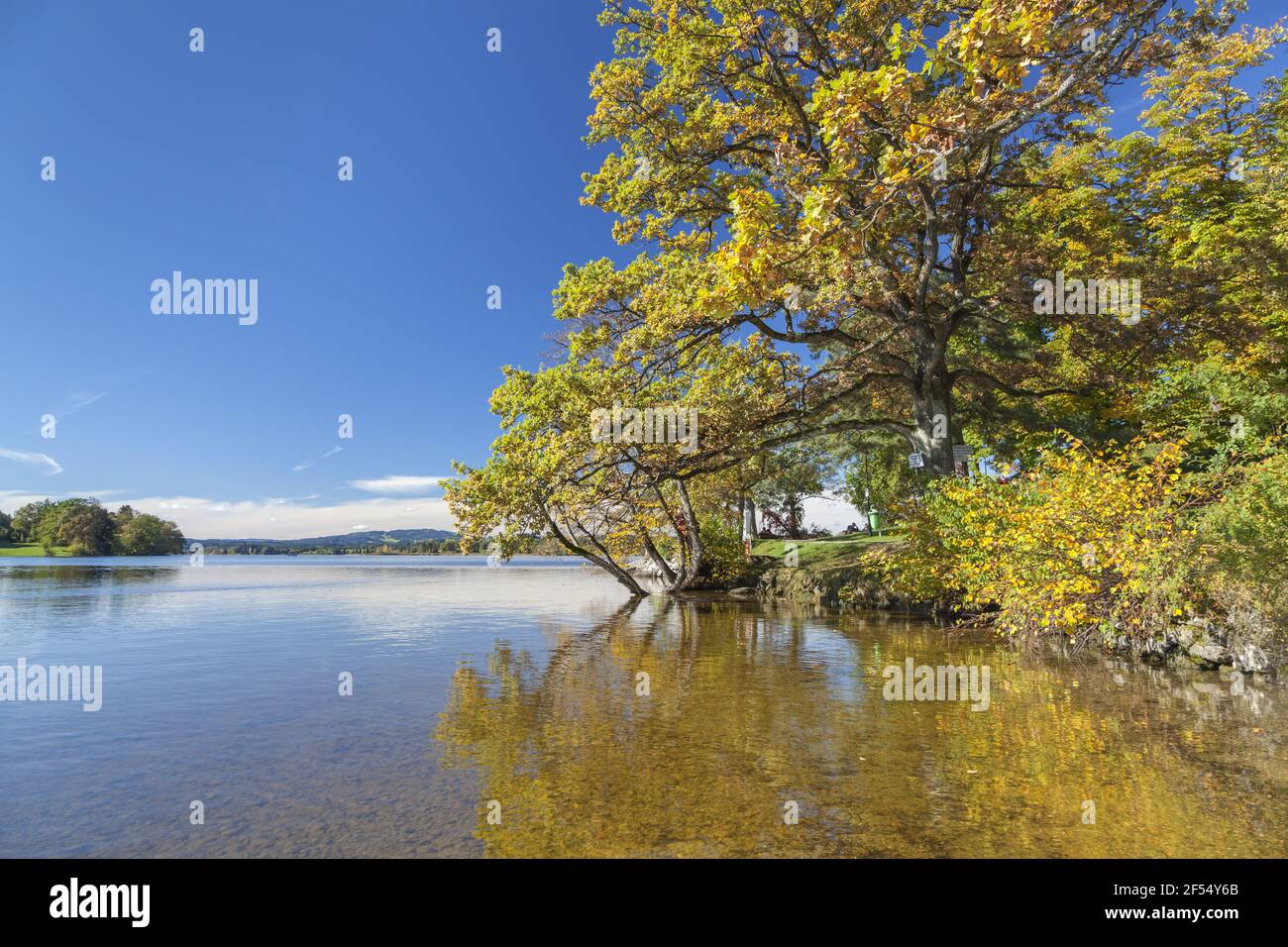 Geographie / Reisen, Deutschland, Bayern, Seehaus am Staffelsee, Herbst in St., Additional-Rights-Clearance-Info-not-available Stockfoto