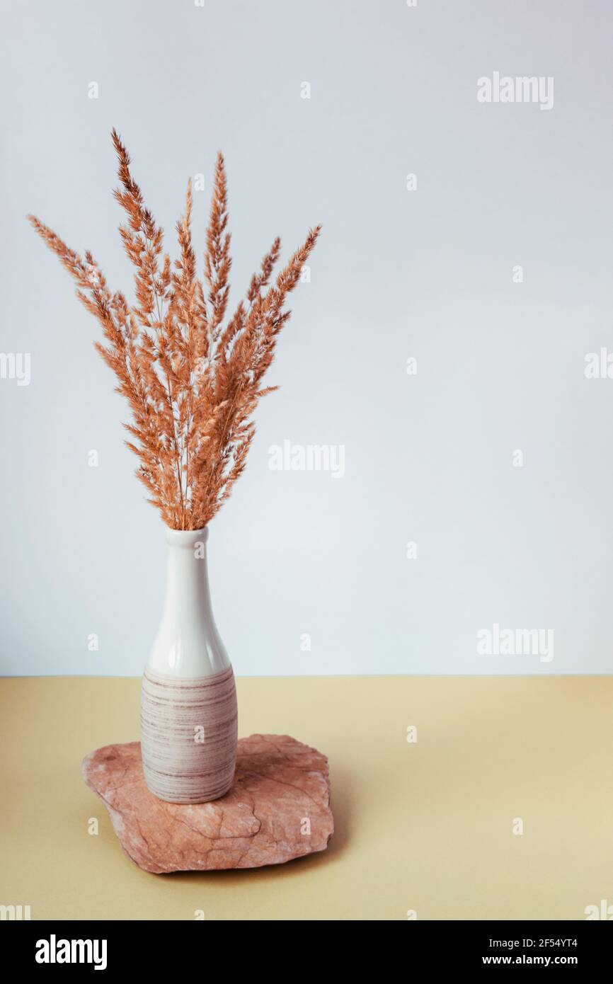 Vase mit trockenem dekorativem Gras auf Steinständer auf neutralem Hintergrund. Vorderansicht, Kopierbereich. Stockfoto