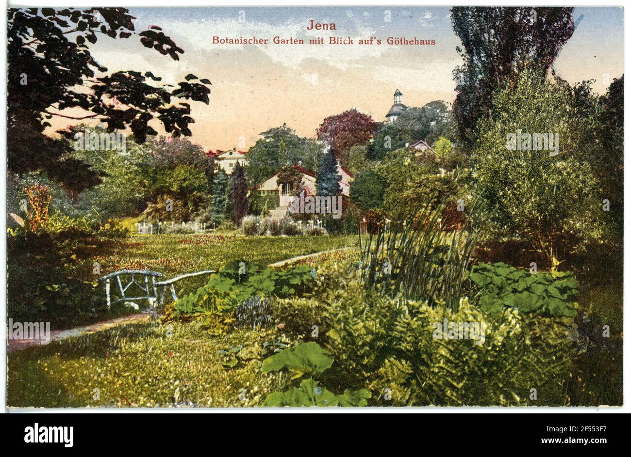 Botanischer Garten Jena. Botanischer Garten Stockfoto