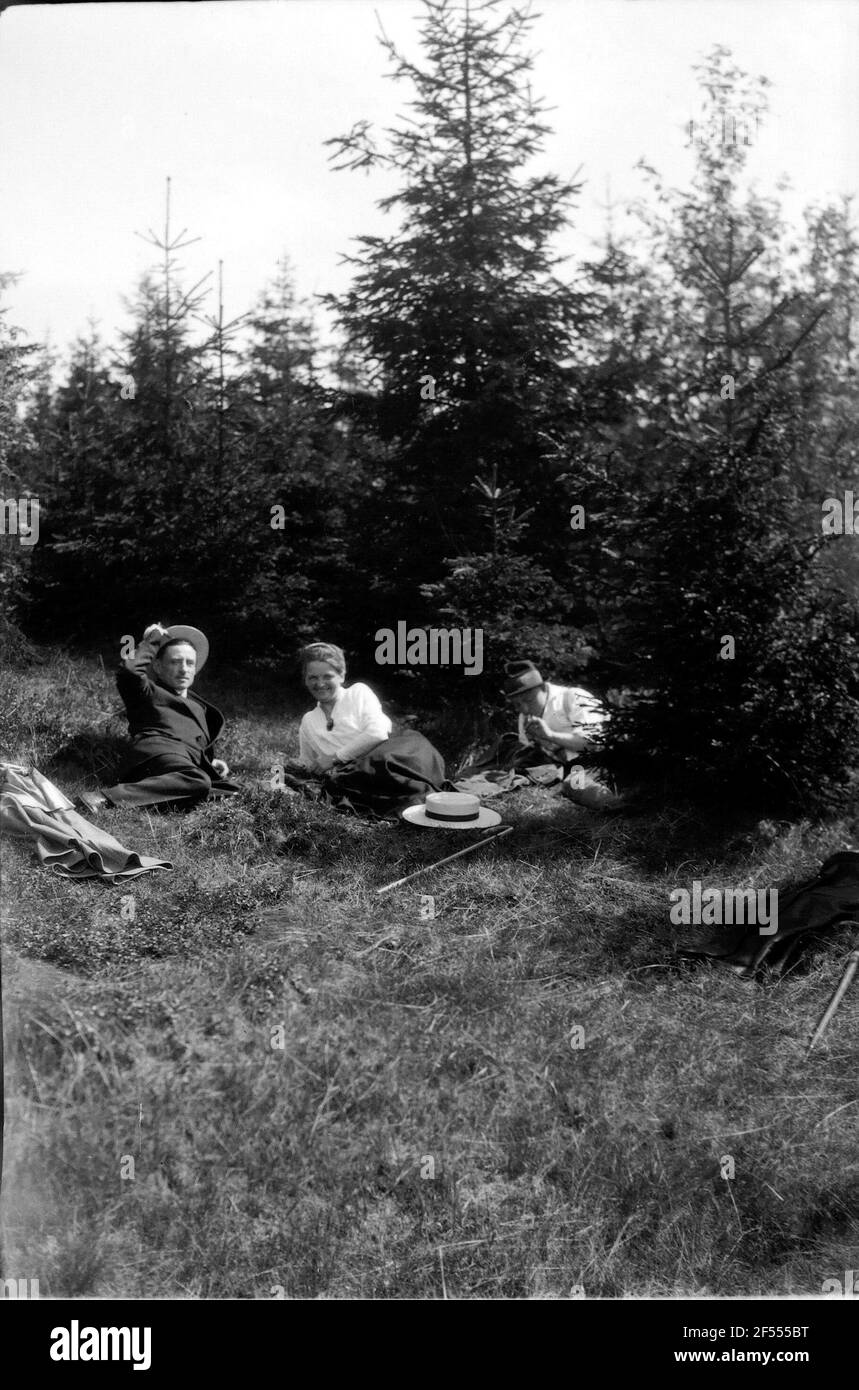 Ruhe im Wald Stockfoto