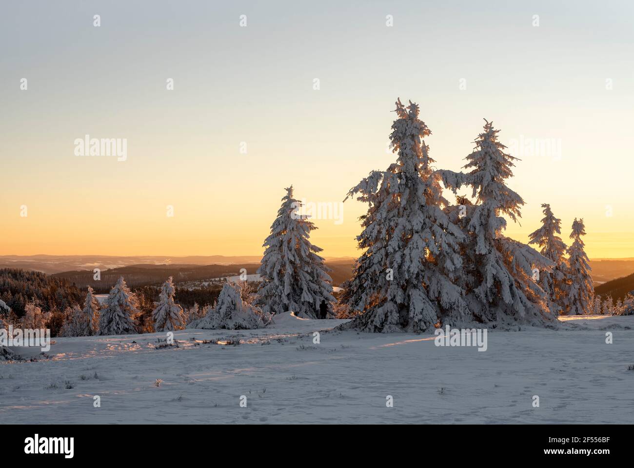 Sauerland, Kahler Asten, Blick in die Landschaft Stockfoto