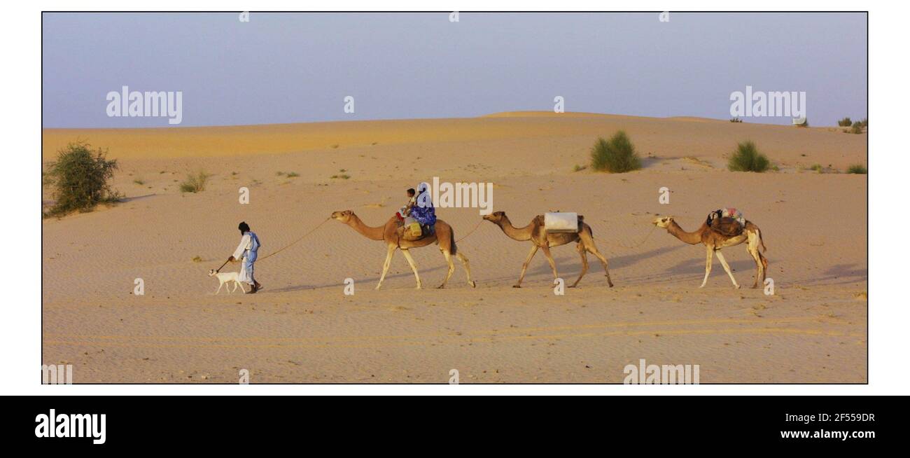 MALI:......Foto von David Sandison zur Geschichte von Mike Mc Carthy Stockfoto