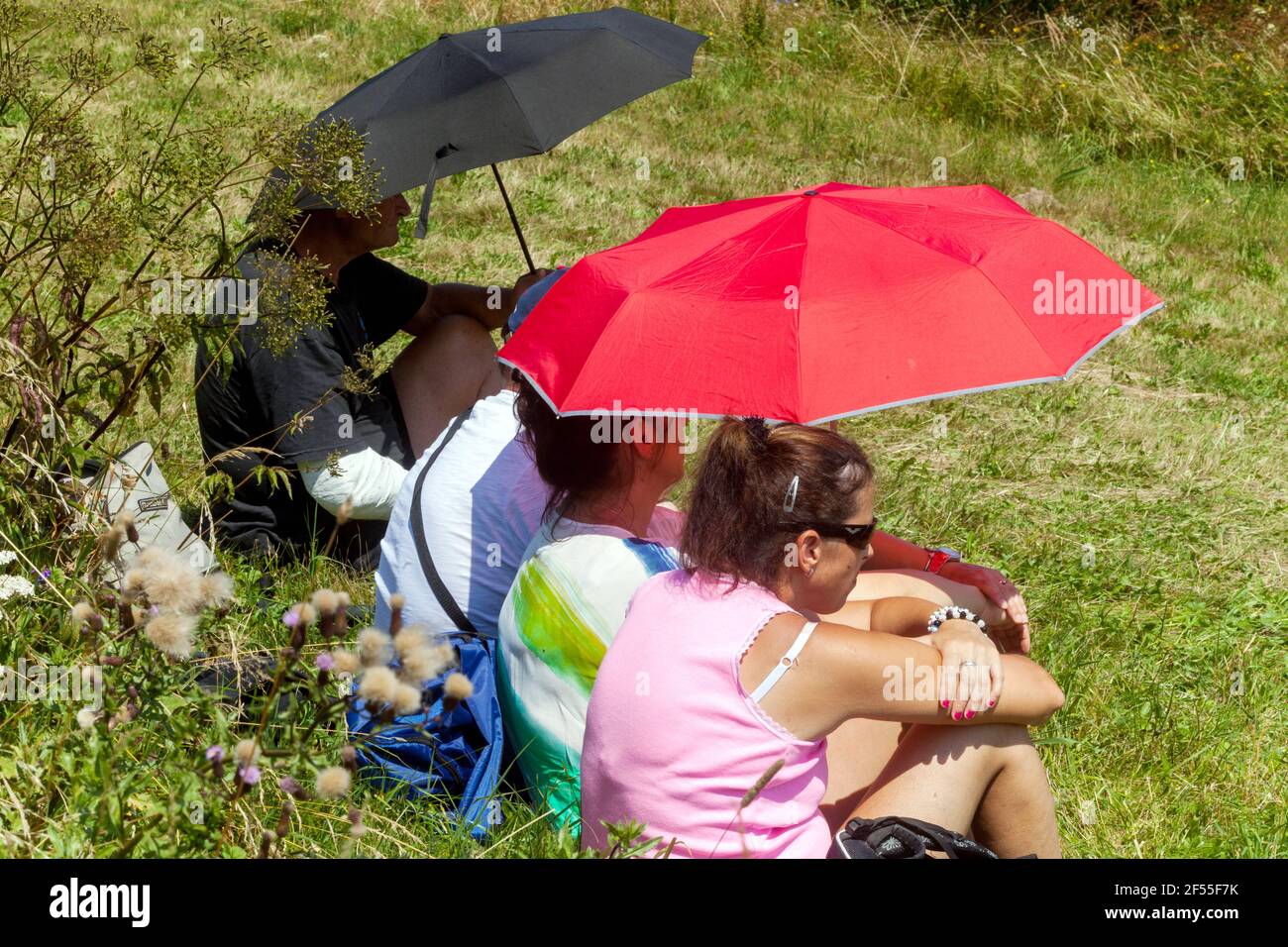Menschen, Frauen sitzen unter rotem Regenschirm auf Sommerwiese Stockfoto