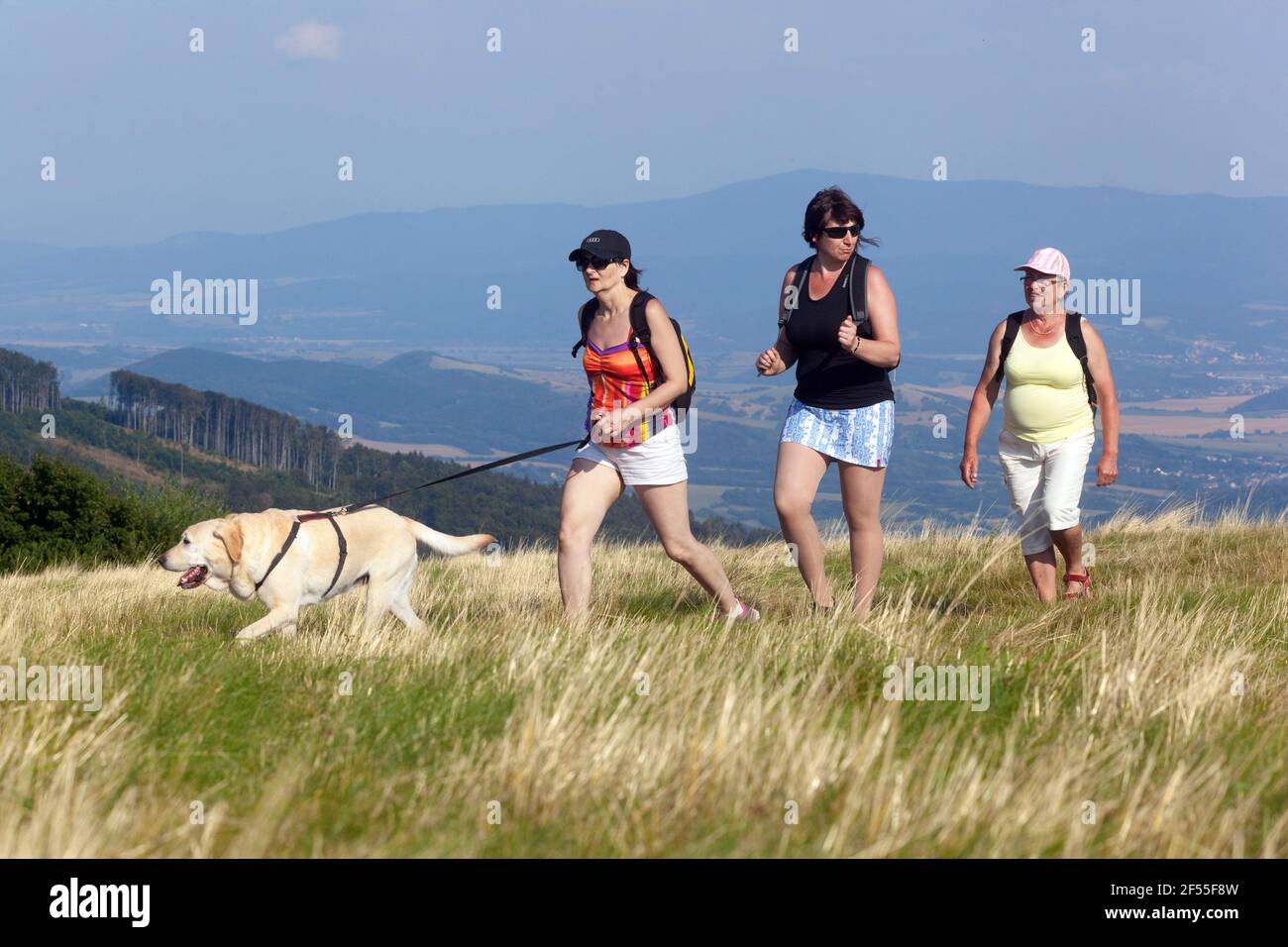 Drei Frauen, die mit einem Hund spazieren gehen, genießen die Reise am Sommertag Stockfoto