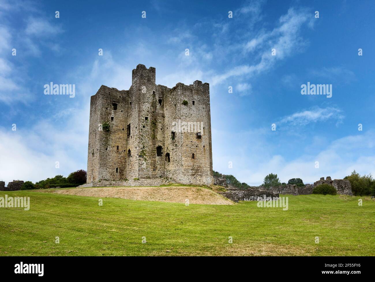 Altes mittelalterliches Schloss in Irland, umgeben von grünen Wiesen Stockfoto