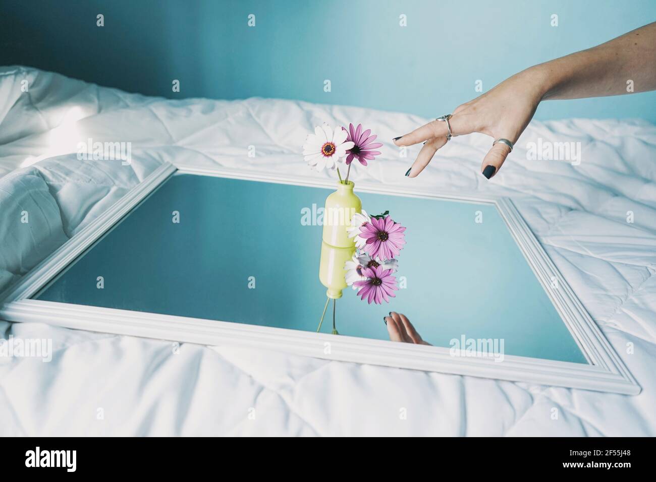 Hand einer jungen Frau, die sich mit Gänseblümchen in Richtung Vase streckend Auf dem Spiegel, der auf einer weißen Bettdecke liegt Stockfoto