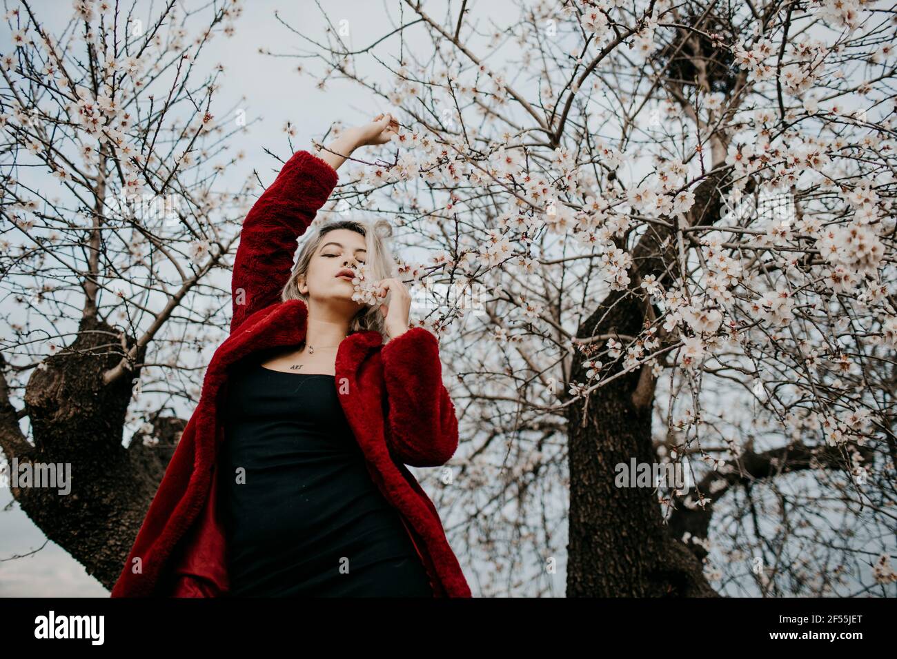 Lächelnde junge Frau, die im Frühling einen Zweig des blühenden Mandelbaums hält Stockfoto