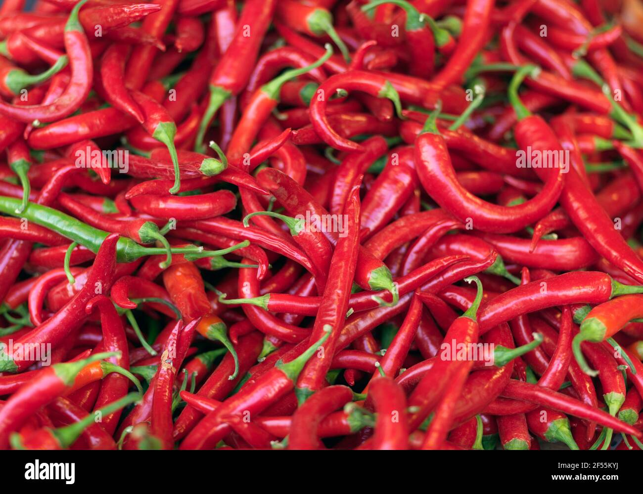 Israel Tel Aviv Carmel Market Nahaufnahme von roten Paprika Stockfoto