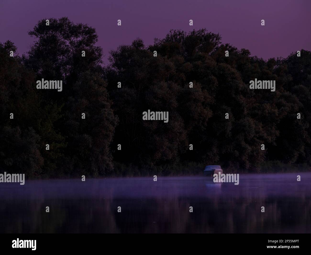 Fluss Saone bei nebeligem Sonnenaufgang Stockfoto