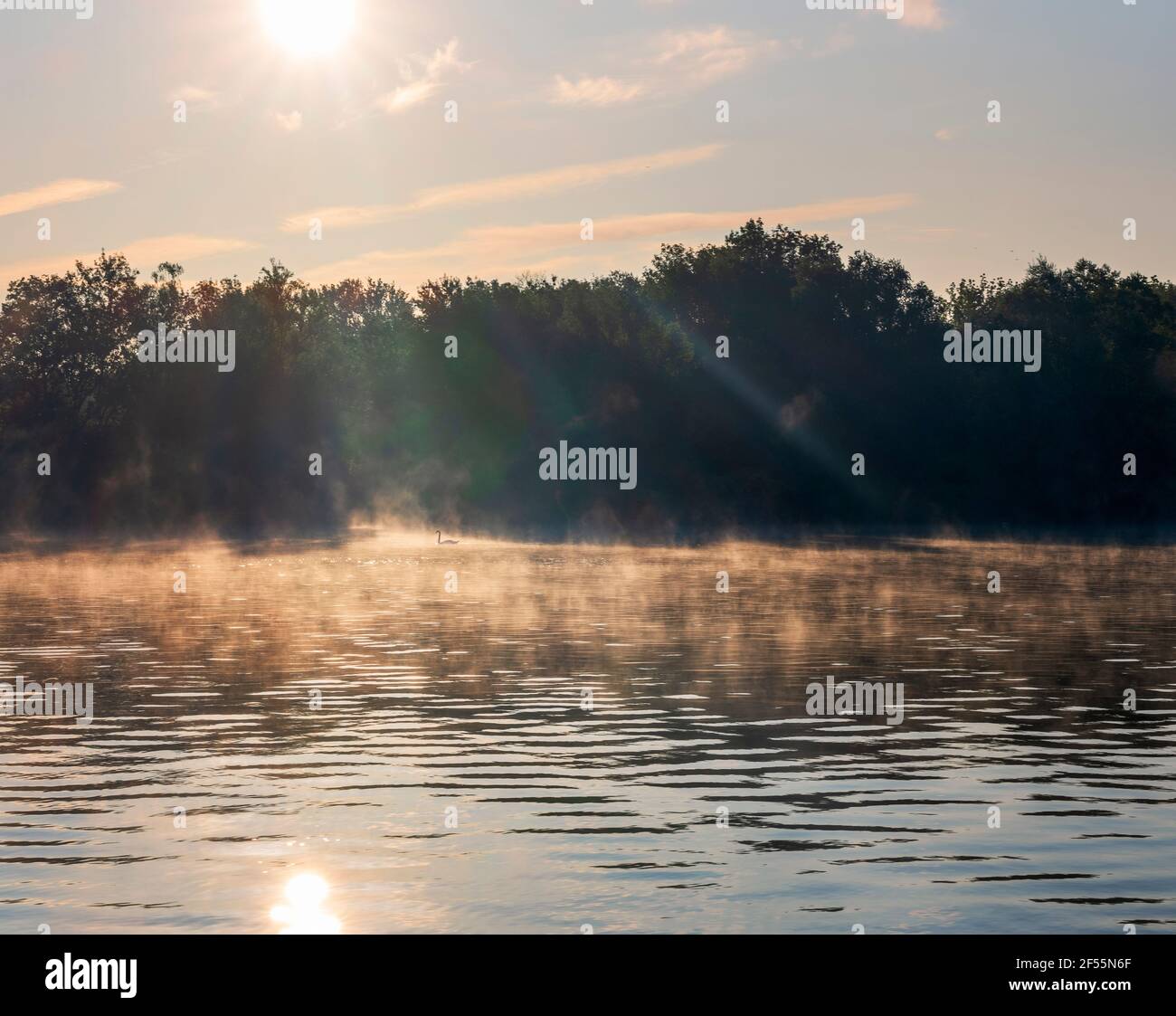 Wolkiger Himmel über einem Haufen Bäume, die am Ufer des Flusses Saone wachsen Stockfoto