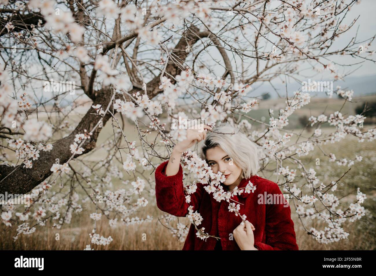 Blonde Frau berührt den Ast, während sie unter dem blühenden Mandelbaum steht Stockfoto