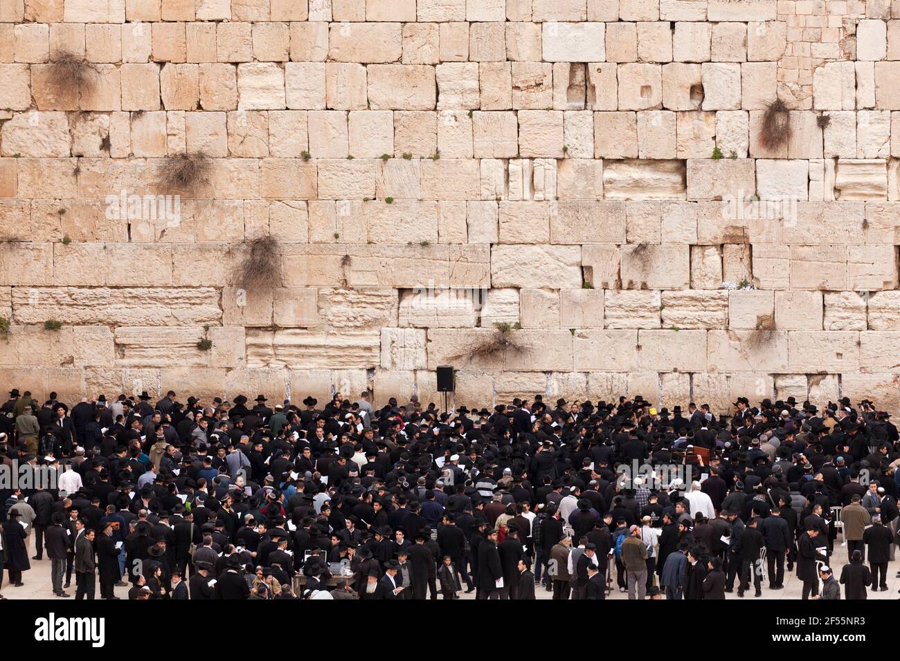 Israel, Jerusalem, orthodoxe Juden beten an der Westmauer Stockfoto