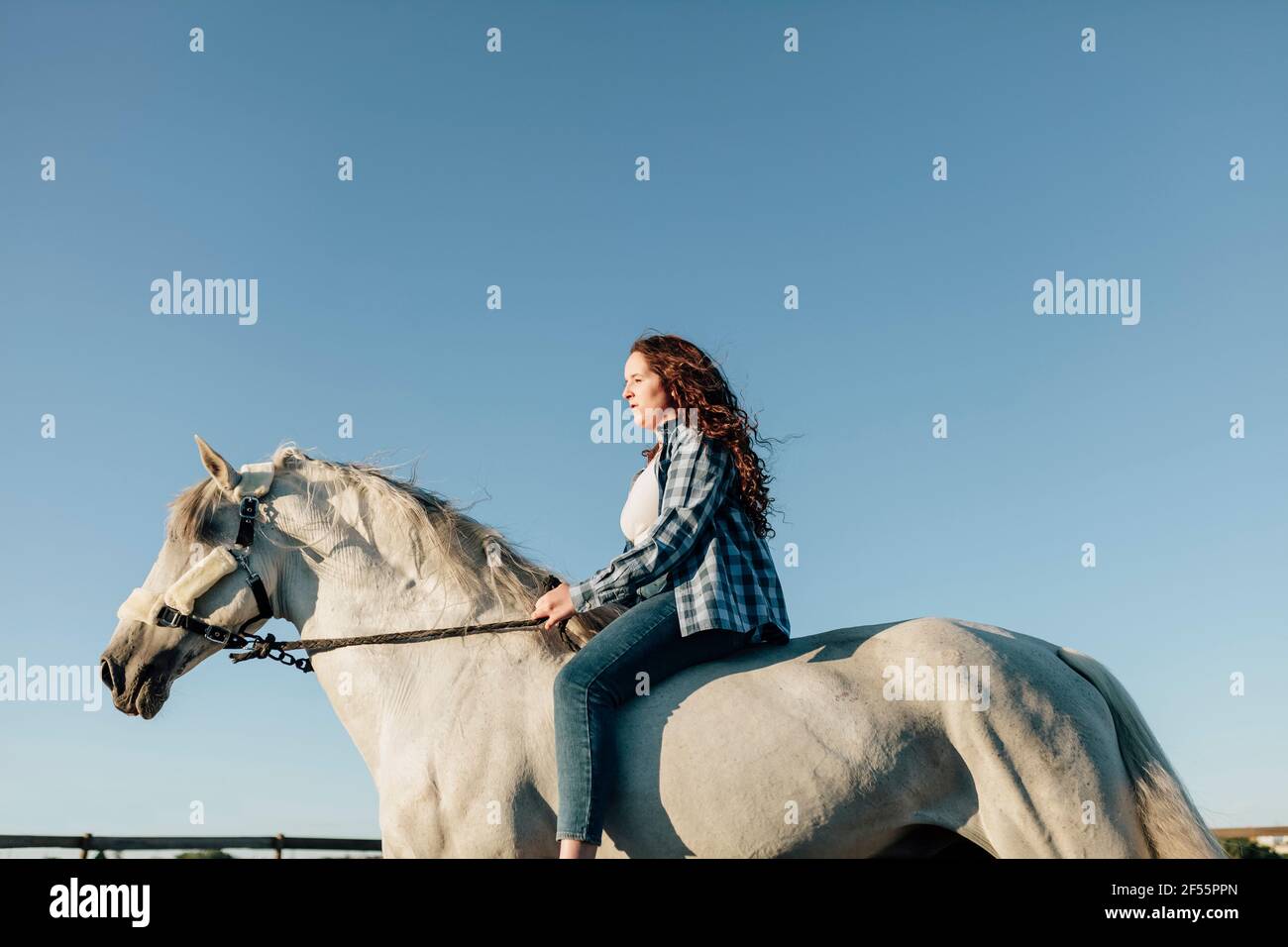 Junge Frau auf dem Pferd im Reitzentrum gegen klaren Himmel Stockfoto