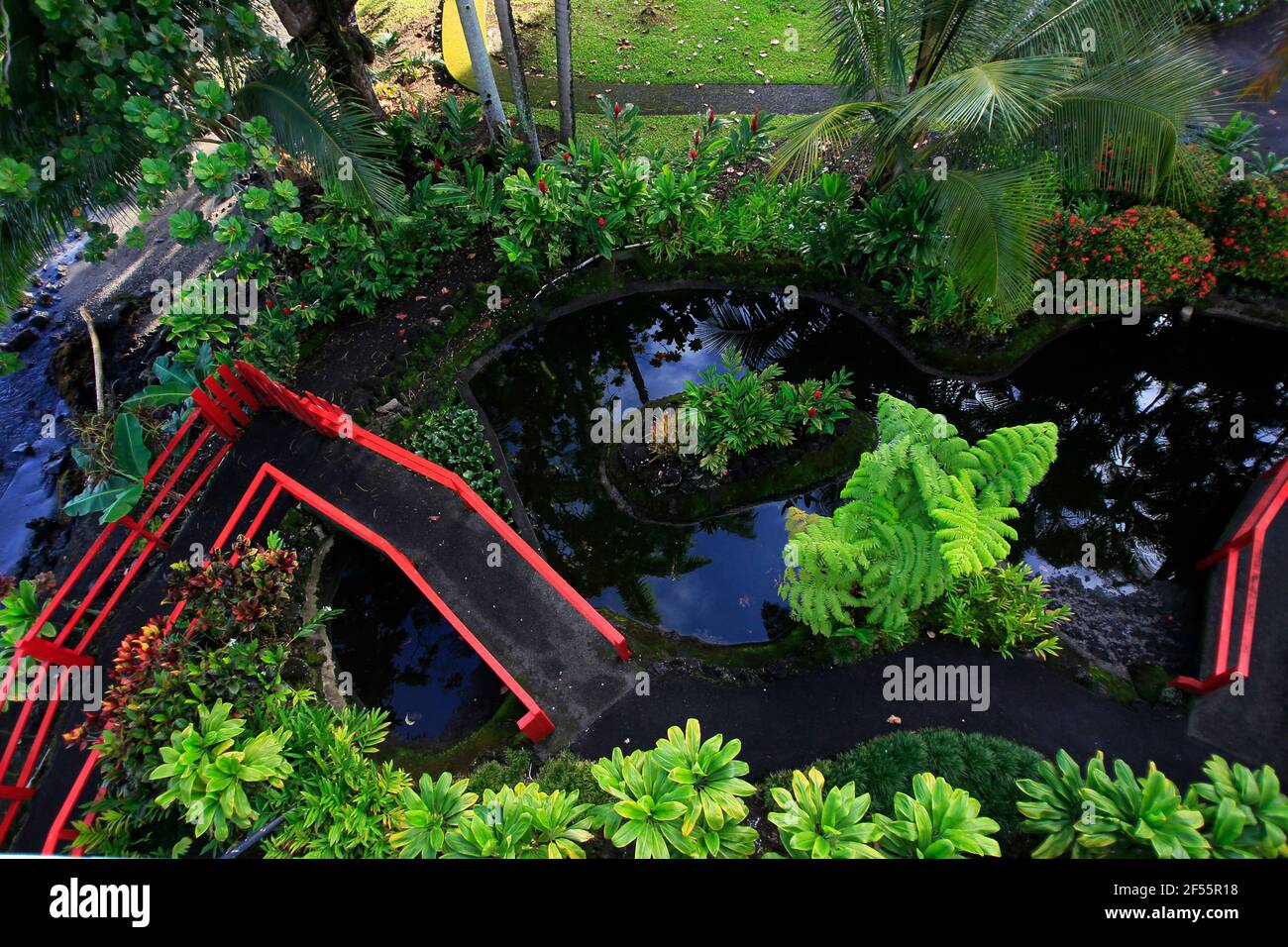 Hawaii, Hilo, Big Island. Ein japanischer Park und Gärten sind in Hilo zu sehen Foto: José Bula U. Stockfoto