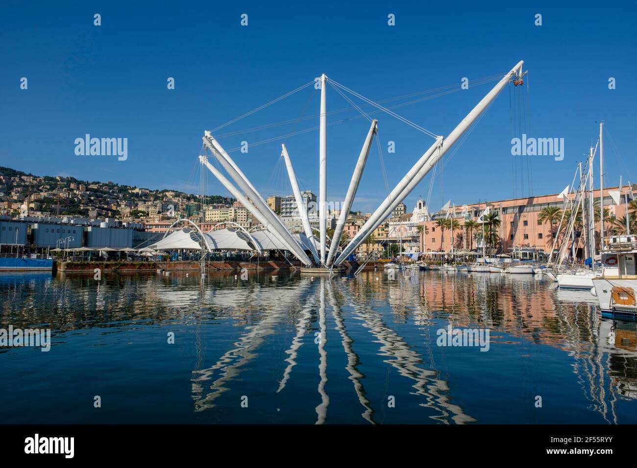 Italien, Ligurien, Genua, Kranich in Marina di Porto Antico Stockfoto