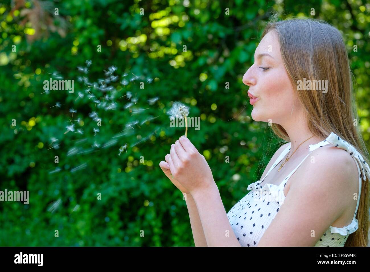 Blonde Teenager-Mädchen weht Dandelion, während sie gegen die Pflanze stehen Stockfoto