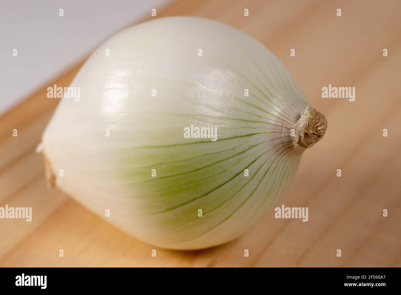 Nahaufnahme der weißen Zwiebel über einem Holztisch. Einzelne Zwiebel. Allium cepa. Süße Zwiebel Stockfoto
