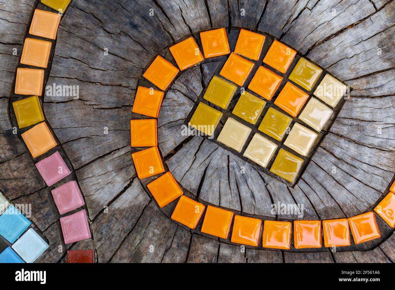 Mosaik bunte Schlange Weg. Abstrakter natürlicher Holzhintergrund. Mosaikfliesen auf runden abgeschnittenen Baum mit Rissen stumpf außen. DIY Gartenmöbel Stockfoto