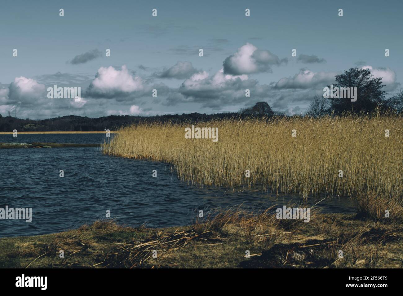 Malerische Wolken über einer Bucht von Kungsbacka Fjord in der früh Feder Stockfoto
