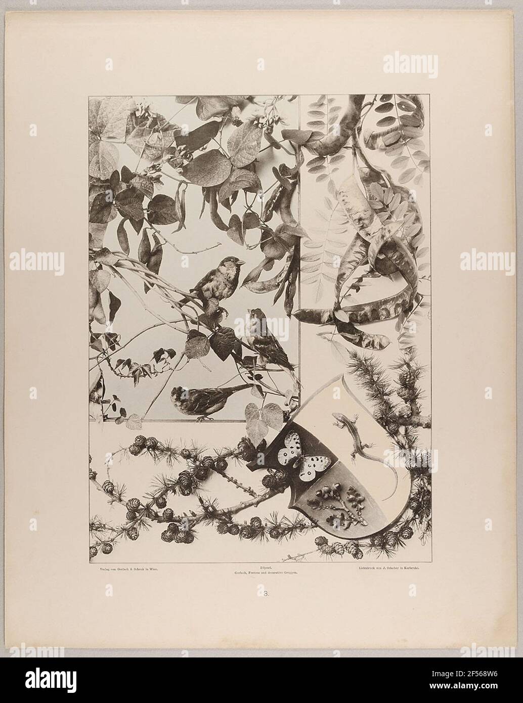 3. Gruppen und Kleiderbügel aus Bohnen mit Vögeln, Akazie, Weichholz mit Schild. Landesplan Hamburg, Sammlung der Geschichte der Fotografie Stockfoto