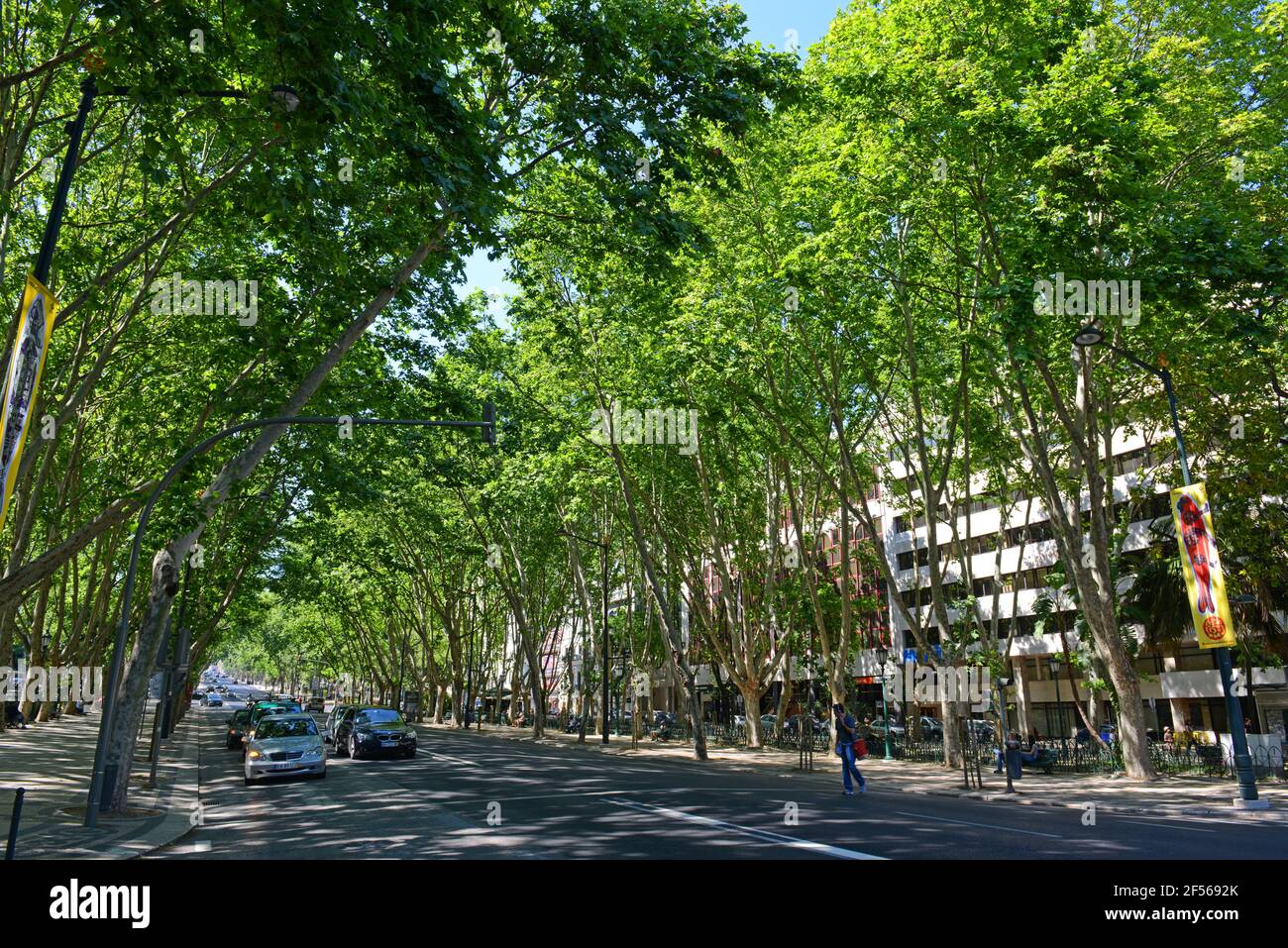 Avenida da Liberdade (Avenue of Liberty) in der Innenstadt von Lissabon, Portugal. Stockfoto