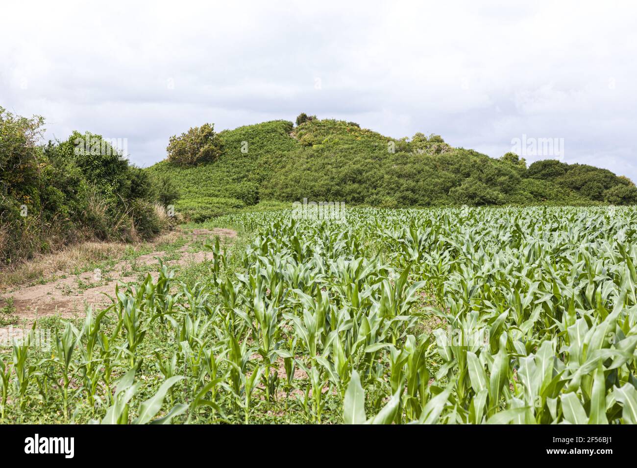 Der Tumulus de Tuliac, eine neolithische Grabkammer in der Bretagne, Frankreich. ALIAS die Butte de Cesar als Julius Ceasar benutzte es für einen Aussichtspunkt. Stockfoto