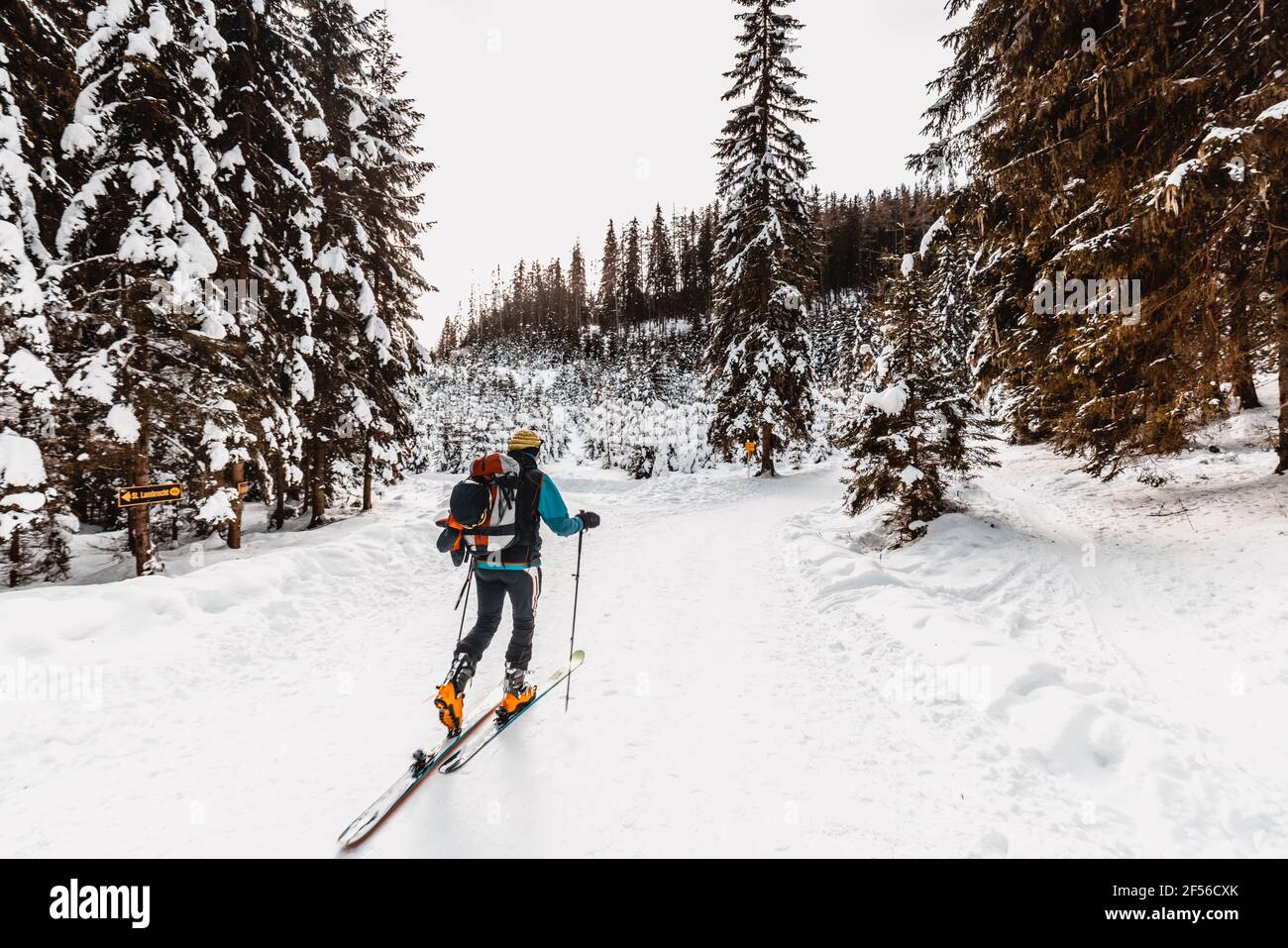 Senior man Skifahren auf schneebedecktem Land während des Urlaubs Stockfoto
