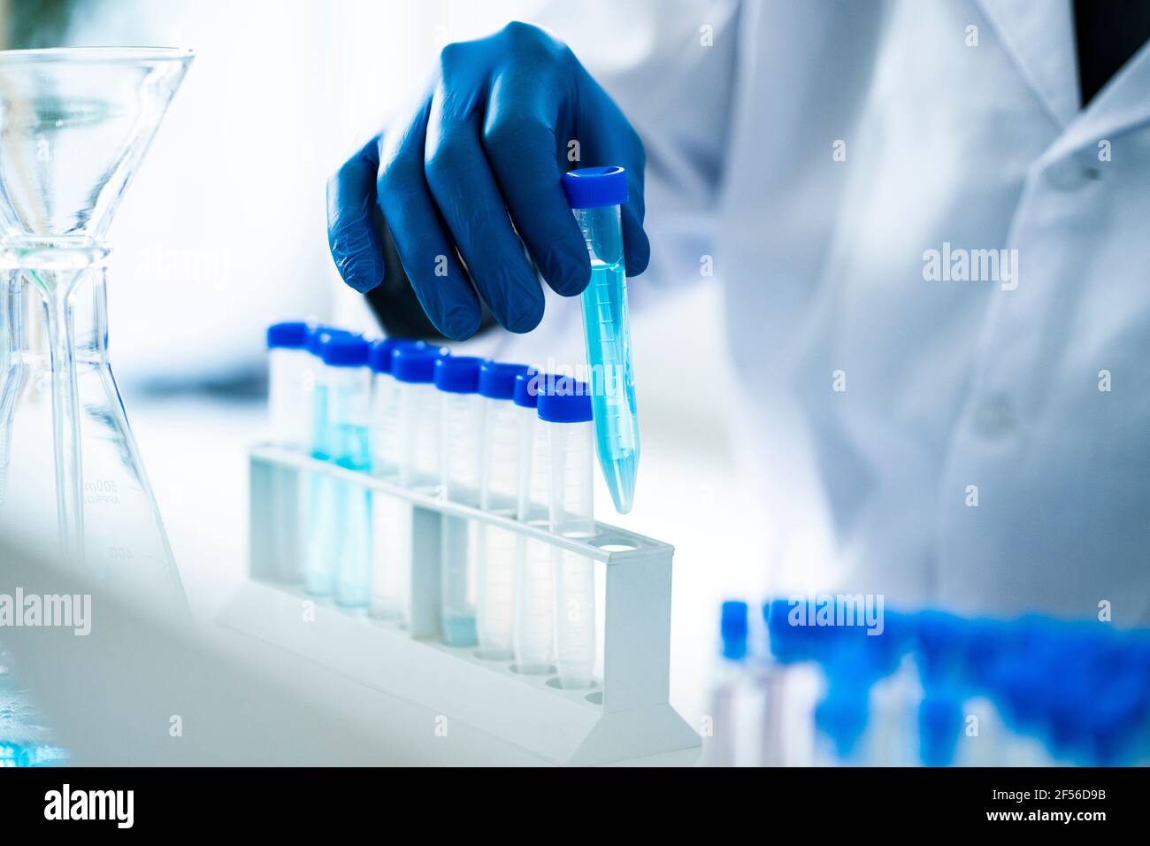 Wissenschaftler, der während der Arbeit im Labor ein Reagenzglas im Rack anordnete Stockfoto