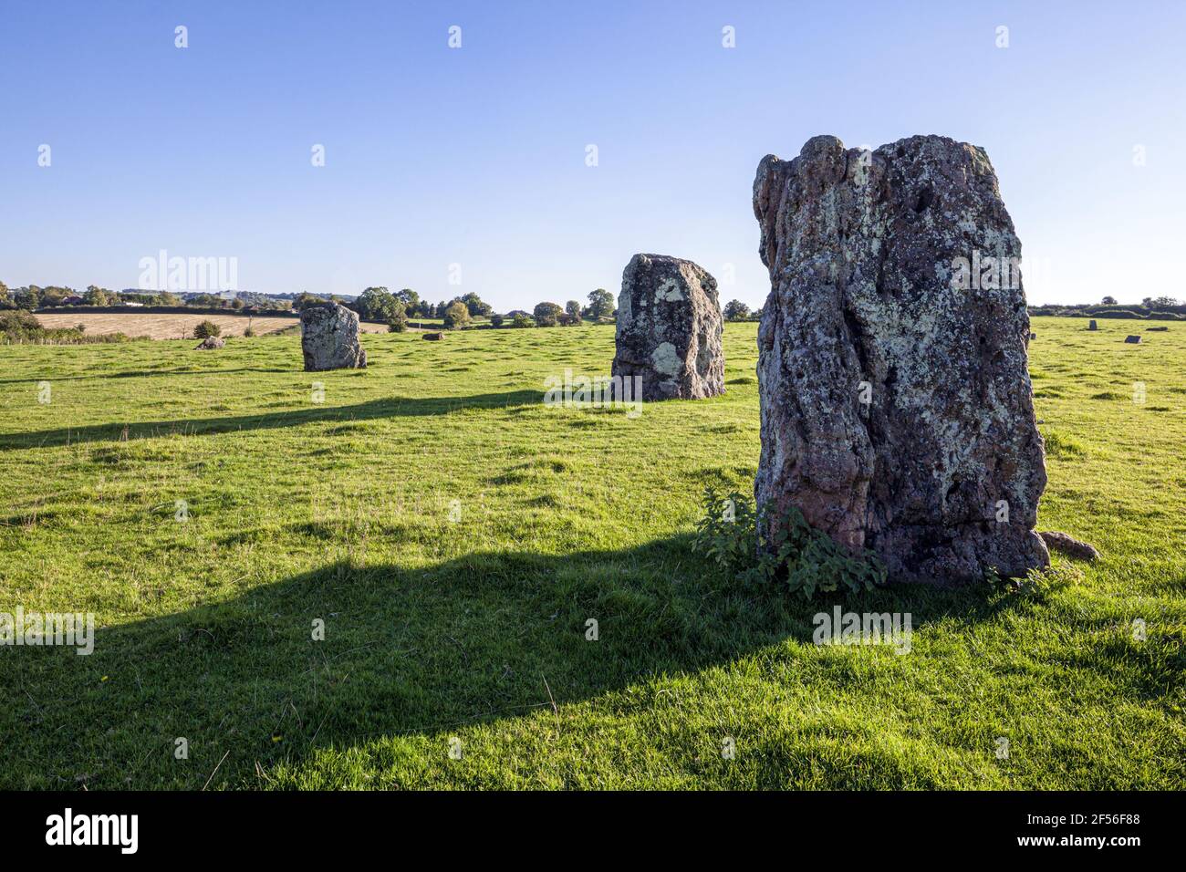 Stanton Drew Steinkreis (der zweite größte Steinkreis in Großbritannien) aus 3000-2000 in der Nähe von Stanton Drew, Somerset UK Stockfoto