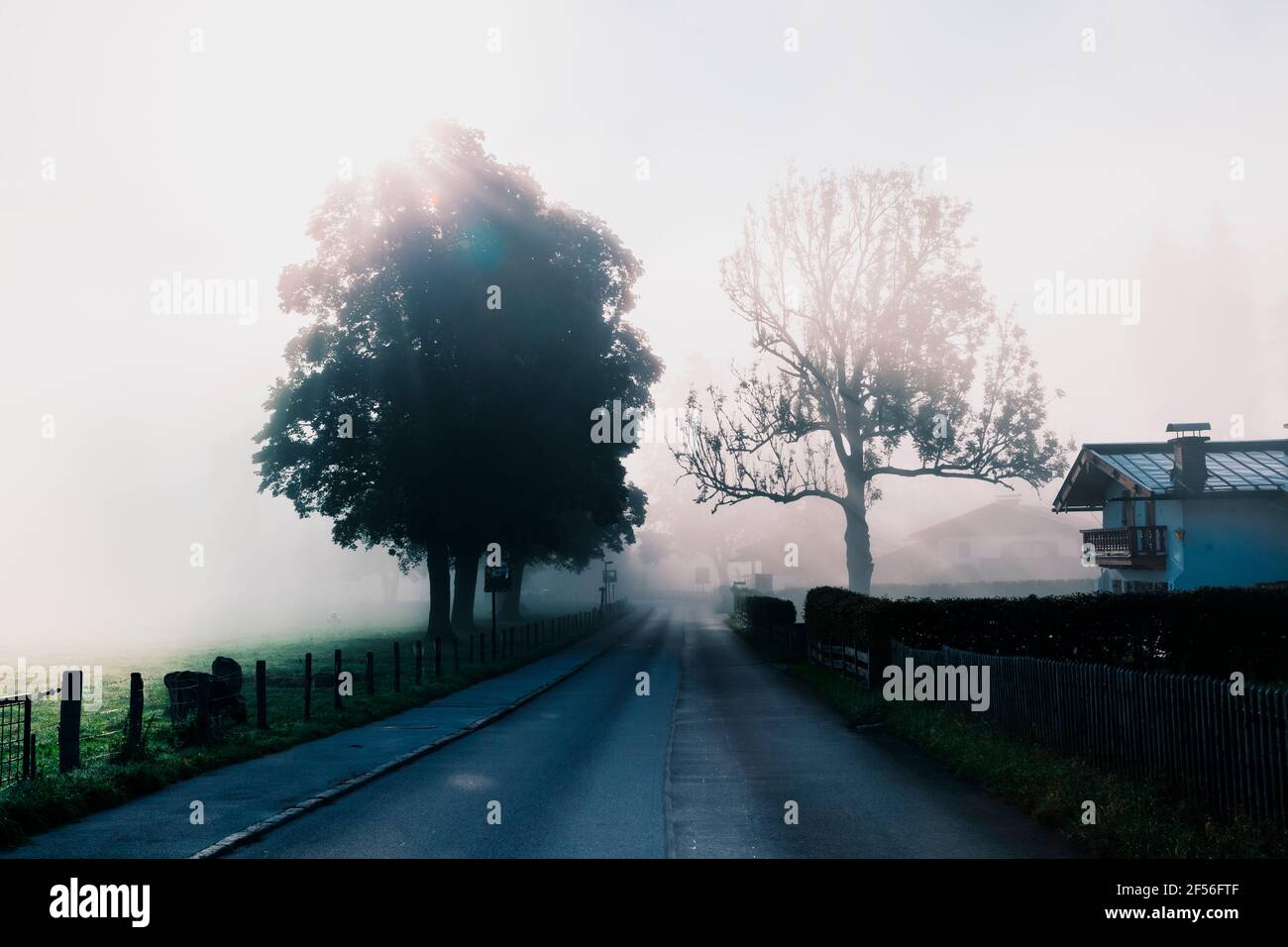 Sonnenaufgang über der von Nebel umhüllten Landstraße Stockfoto