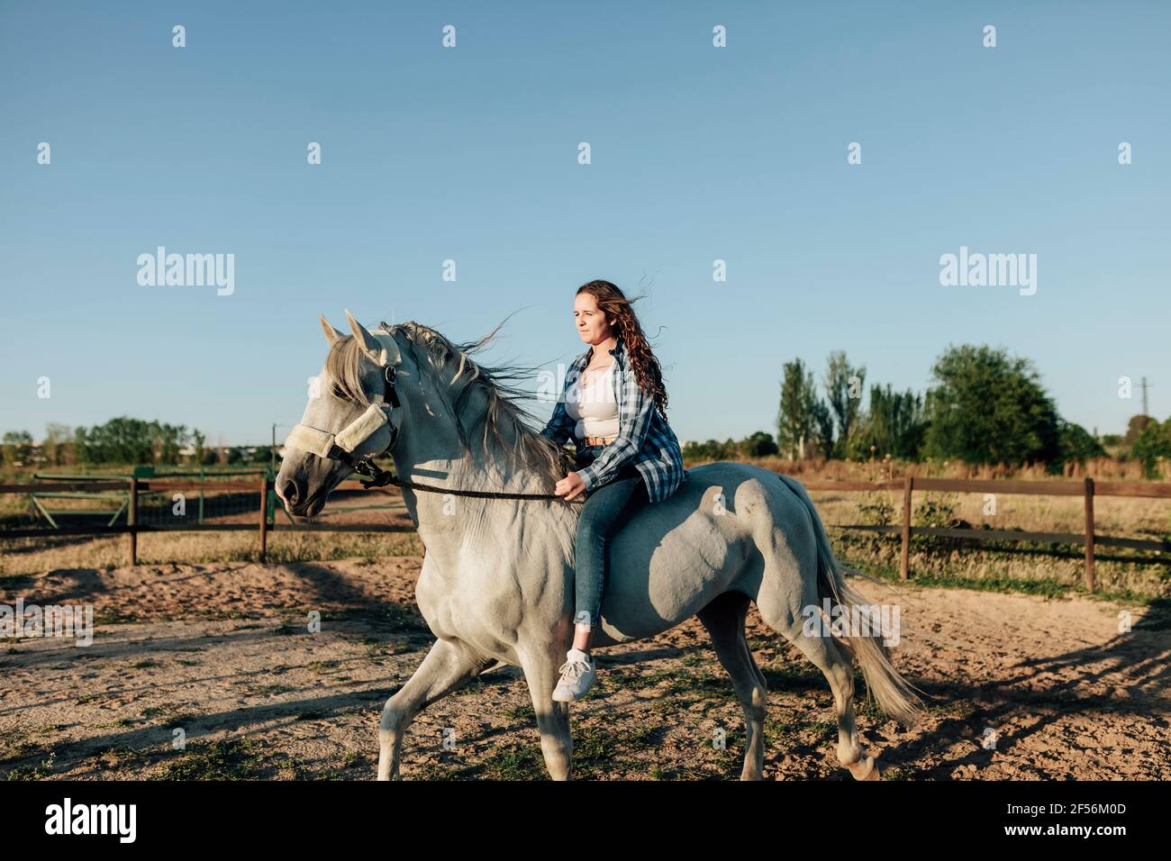 Junge Frau trainiert mit Pferd im Reitzentrum gegen klar Himmel Stockfoto