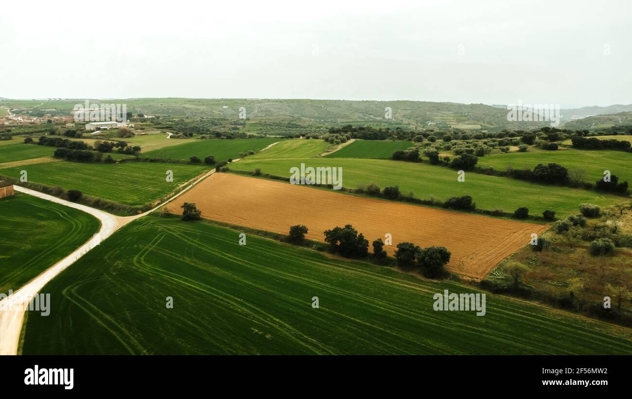 Grüne Agrarlandschaft gegen klaren Himmel von der Drohne aus gesehen Stockfoto